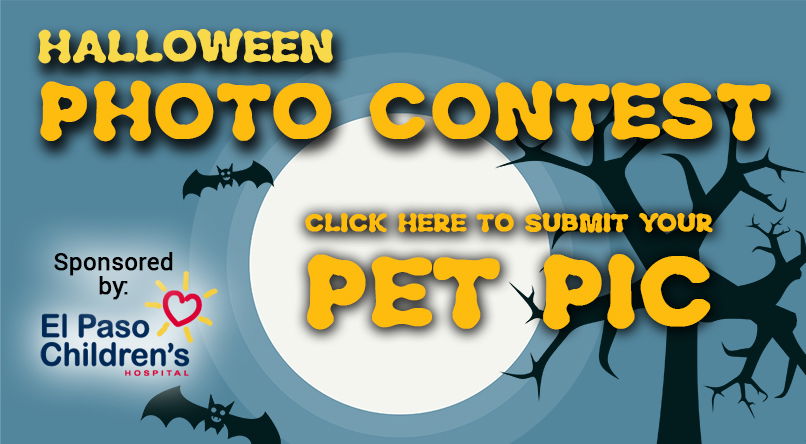 Pumpkinfest 2021 Pet Costume Contest in Louisville at Online