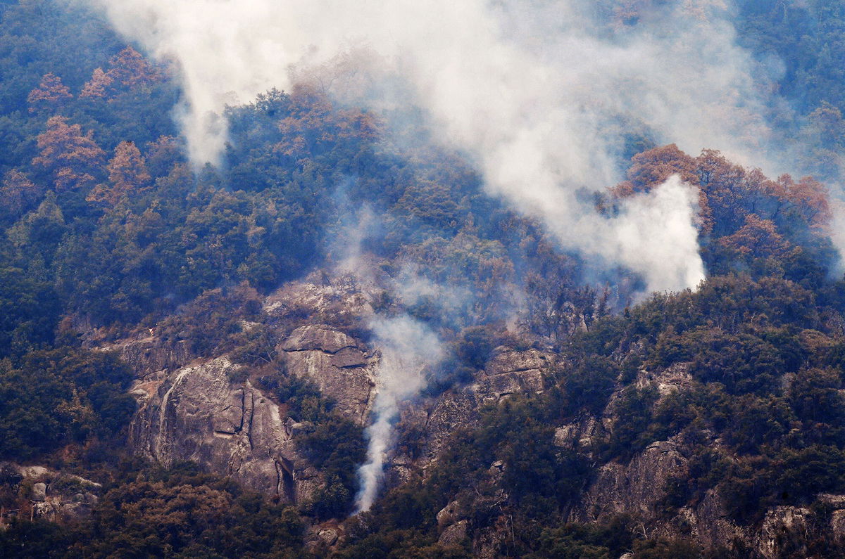 <i>Eric Paul Zamora/Pool/AFP/Getty Images</i><br/>The KNP Complex Fire has destroyed many of California's iconic sequoia trees and is only 11% contained