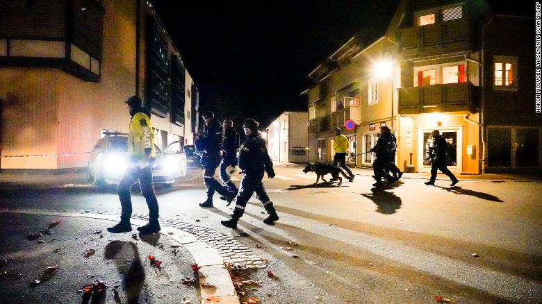 Police at the scene after an attack in Kongsberg, Norway.