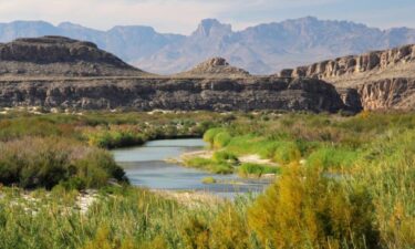 Texas has the #5 largest Native American population in the U.S.