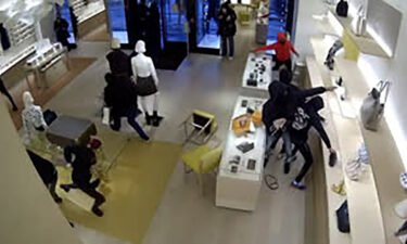 Surveillance footage from the mall showing Louis Vuitton store being ransacked at Oak Brook Center Mall in Oak Brook