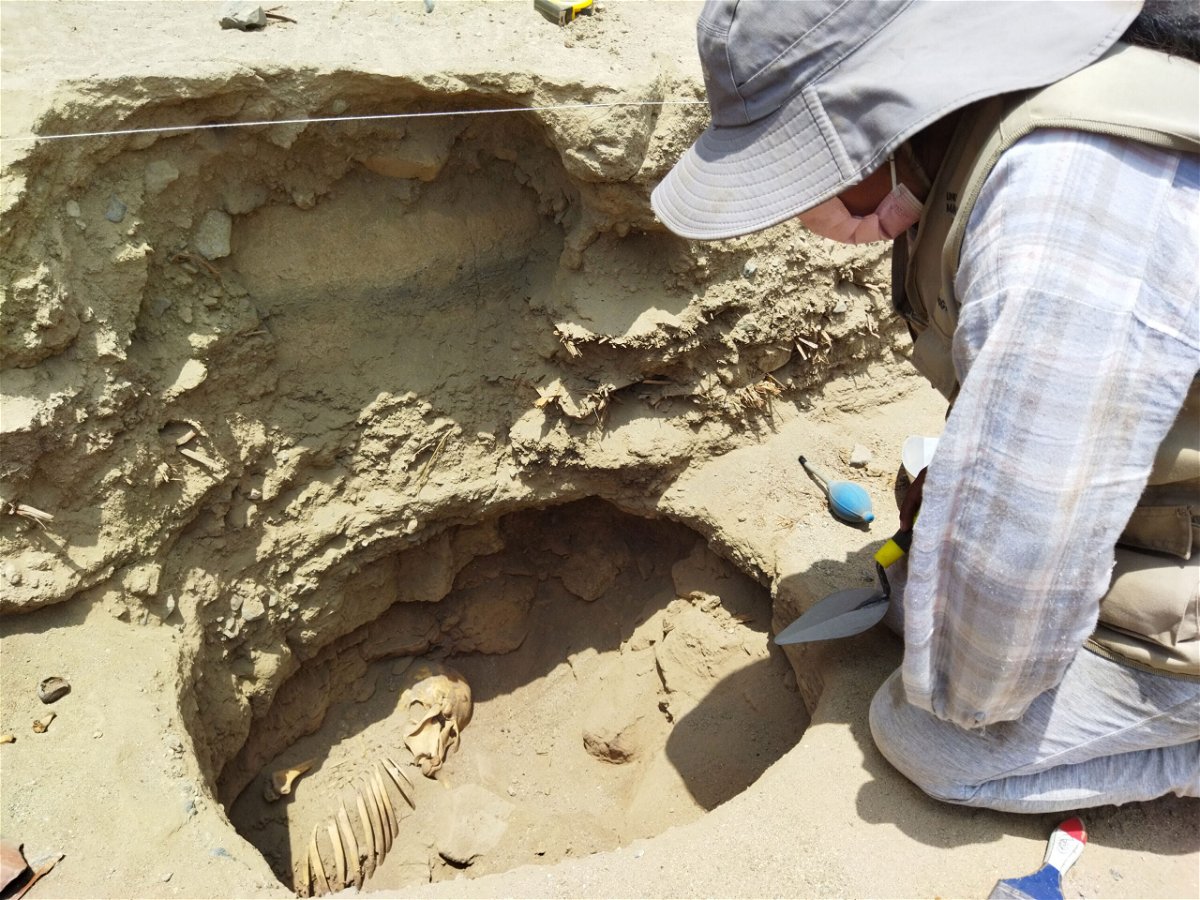 <i>Courtesy Pieter van Dalen Luna/Yomira Huamán Santillan</i><br/>The underground burial site where the mummy was found by researchers near Lima