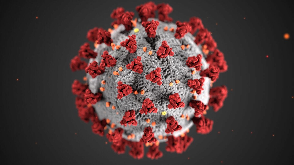 <i>Alissa Eckert/Dan Higgins/CDC</i><br/>South Africa's health minister announced Thursday the discovery of a new coronavirus variant that appears to be spreading rapidly in parts of the country.