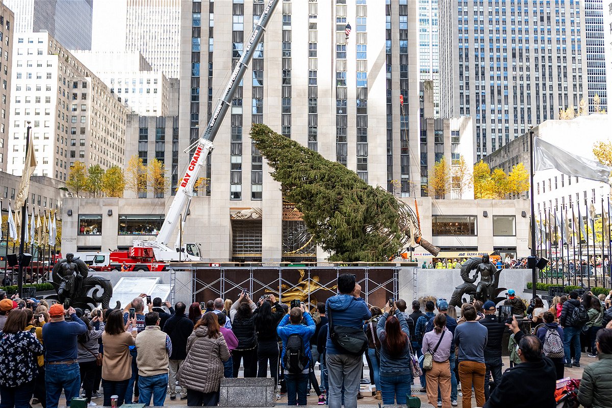 <i>Alexi Rosenfeld/Getty Images</i><br/>Workers move the Rockefeller Center Christmas tree into place on Saturday in New York.