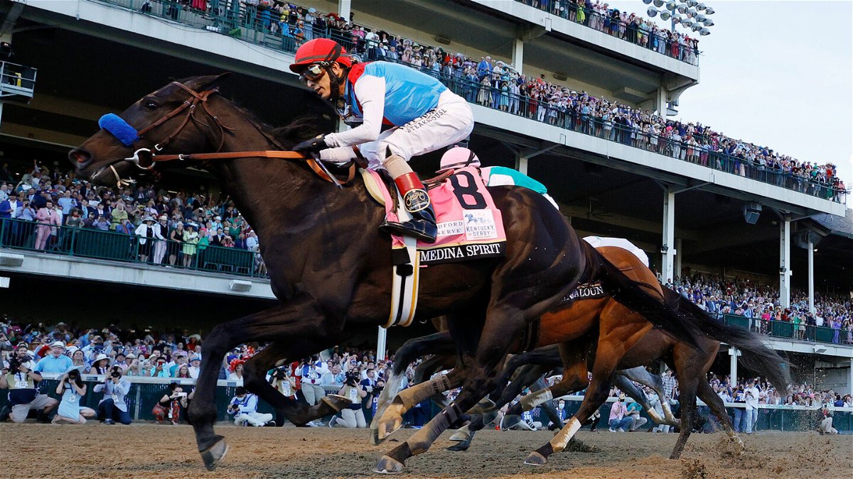 <i>Tim Nwachukwu/Getty Images</i><br/>Kentucky Derby-winning horse Medina Spirit died Monday at Santa Anita racetrack in Southern California