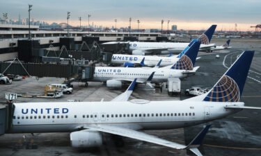 At least two major airlines in the United States have canceled flights just before Christmas Eve.