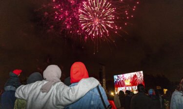 Fireworks explode over Hagley Park in Christchurch