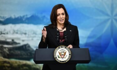 Vice President Kamala Harris told The Wall Street Journal that she and President Joe Biden haven't talked about whether the 79-year-old will run for reelection in 2024