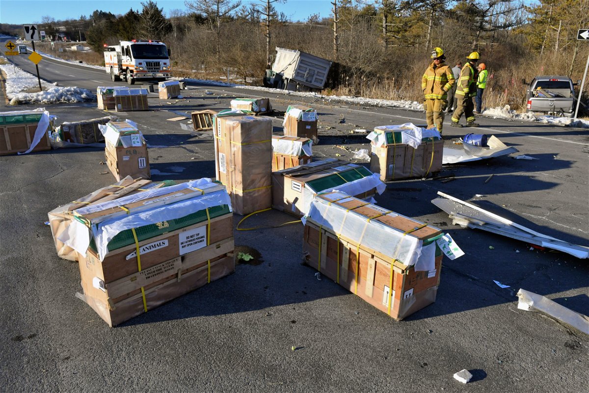 <i>Jimmy May/Bloomsburg Press Enterprise/AP</i><br/>A collision between a dump truck and a trailer carrying about 100 monkeys on Friday scattered crates of live animals across a road in Montour County