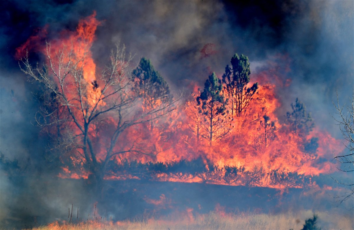 <i>Cliff Grassmick/Daily Camera/AP</i><br/>President Joe Biden and first lady Jill Biden are scheduled to travel to Colorado to meet with families who were affected by a recent massive wildfire that destroyed hundreds of homes and thousands of acres