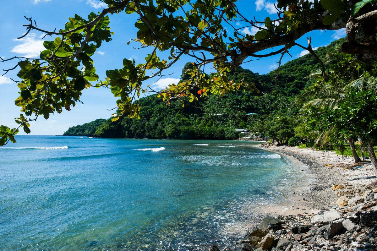 <i>© Michael Runkel/Danita Delimon/Adobe Stock</i><br/>The National Park of American Samoa logged 8