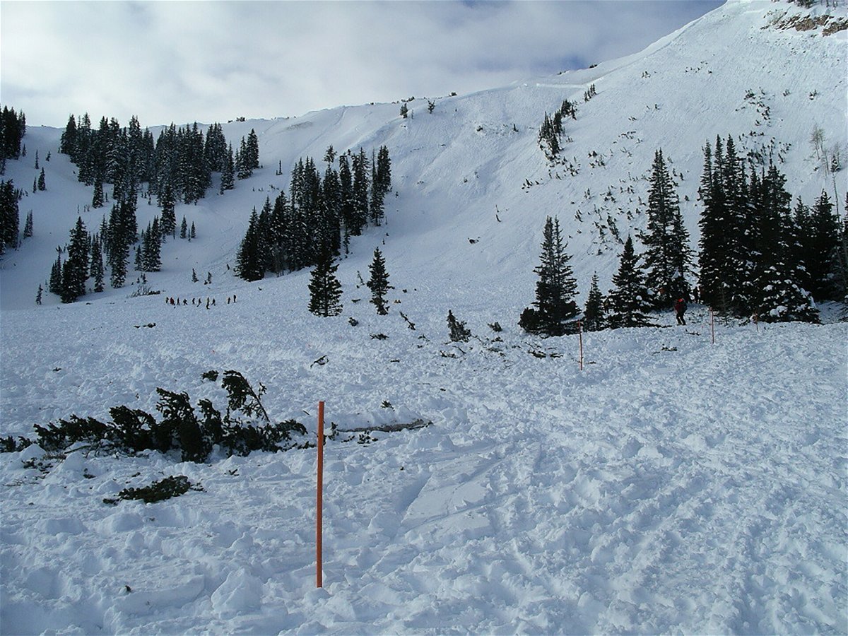 <i>Jake Hutchinson</i><br/>Rescuer Jake Hutchinson took this picture after the Dutch Draw avalanche in 2004. He says you can see the fracture line on the slope above and part of the debris field.