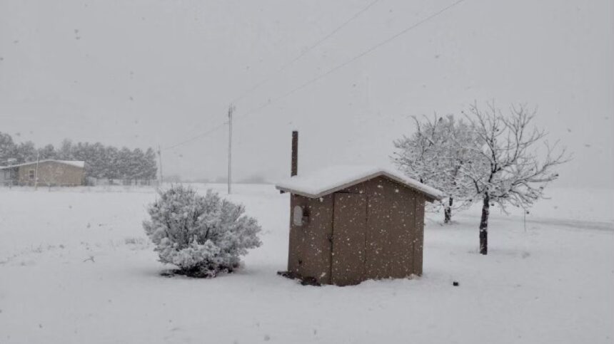 Chamberino snow