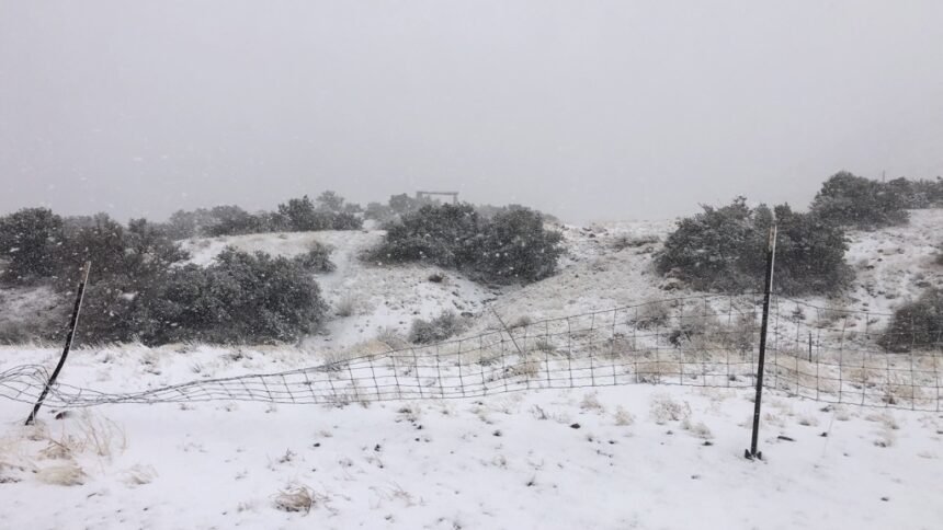 2022: What will winter look like in New Mexico?