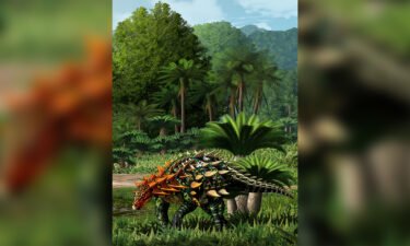 A new dinosaur species from the early Jurassic period was discovered in southwestern China