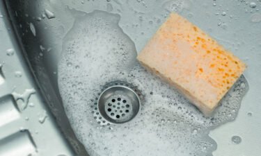 The results of a new study may help you better understand why your kitchen sponge is habitat central for germs.