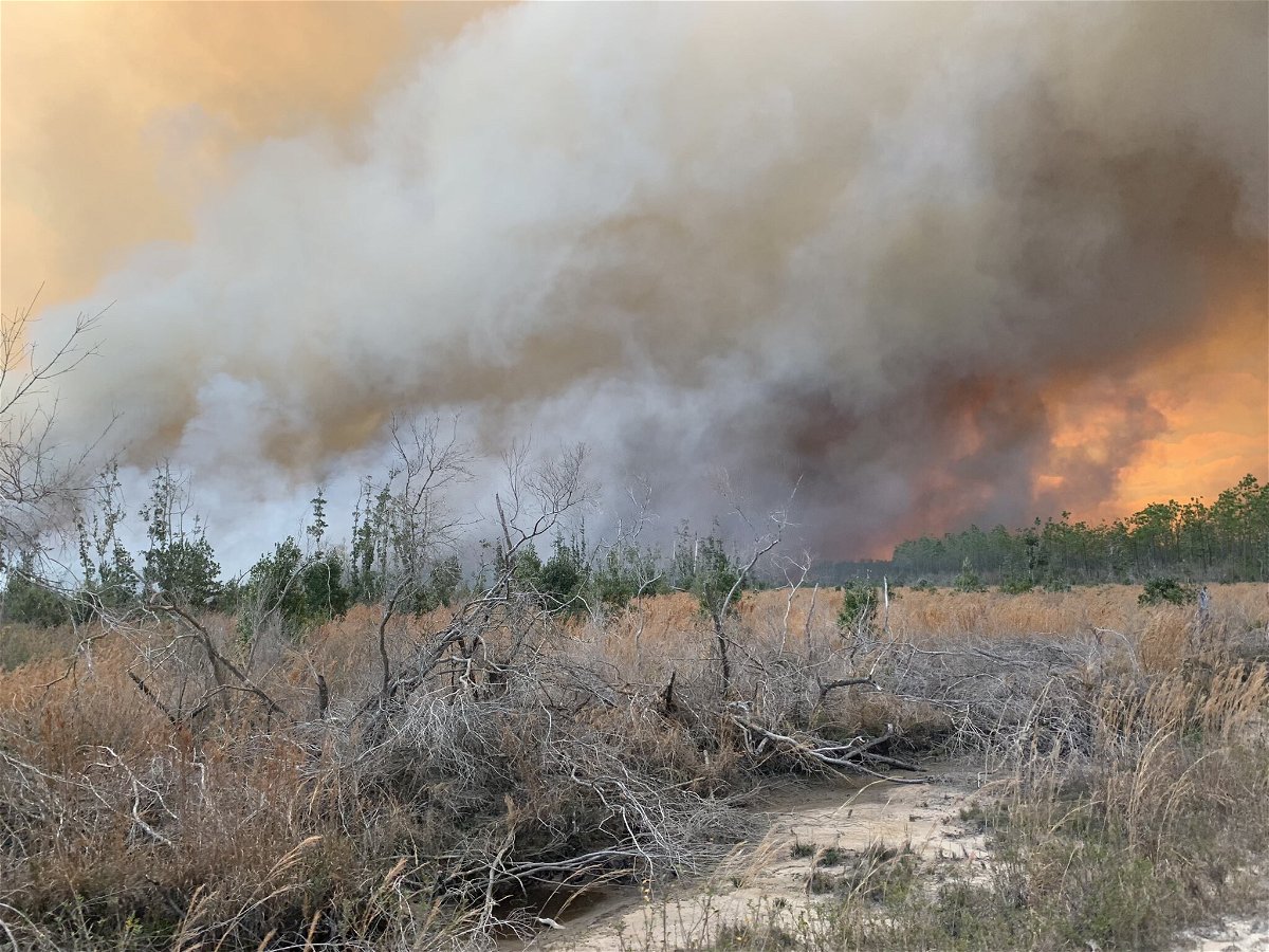 <i>Florida Forest Service/Chipola Forestry Center</i><br/>The Bertha Swamp Road Fire in the Florida Panhandle has swelled to move than 28