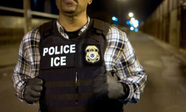 Immigration arrests in the US plunge under Biden administration