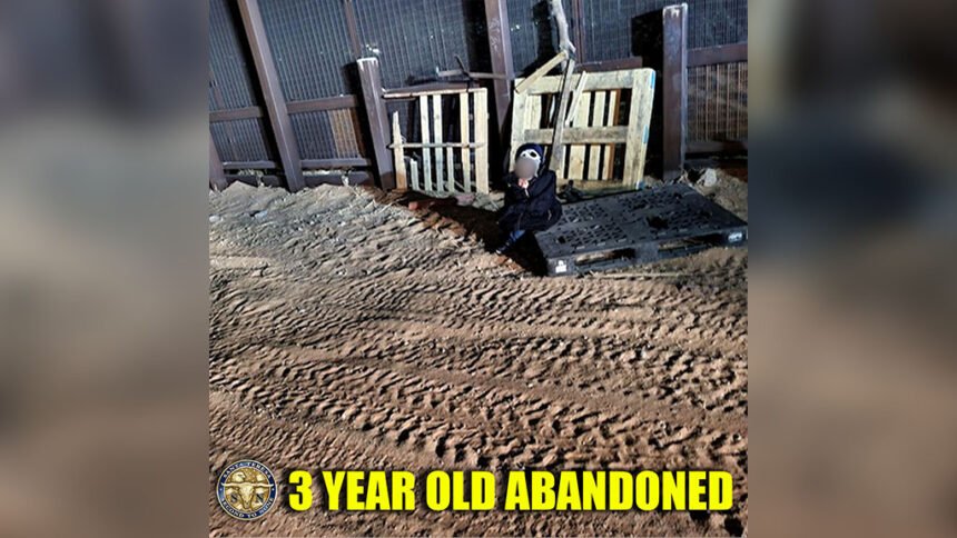 3 year old abandoned