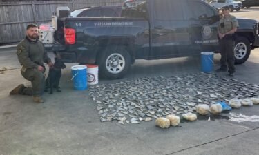 Texas Game Wardens discovered 381 whole shark fins and 29.2 lbs of frozen shark fins inside a San Antonio seafood restaurant.
