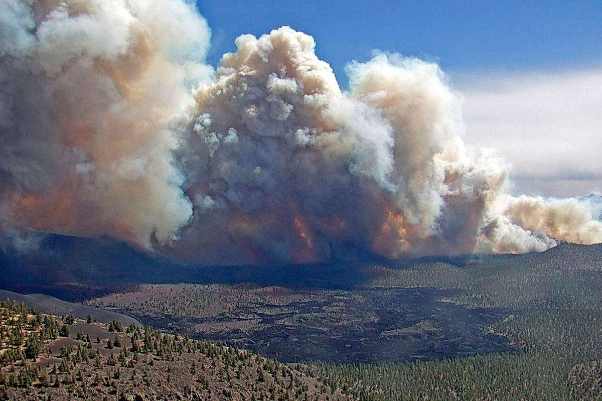 <i>Coconino National Forest/AP</i><br/>