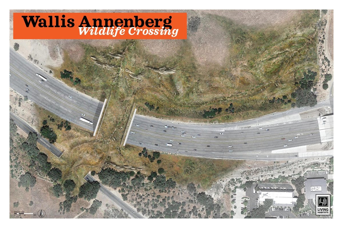 <i>From Wallis Anneberg Foundation</i><br/>A rendering shows how the bridge will let animals cross over traffic.