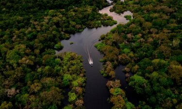 A boat speeding on the Jurura river in the heart of the Brazilian Amazon Forest on March 15