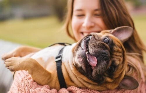 5 cost-saving ways to keep your pets healthy—and happy