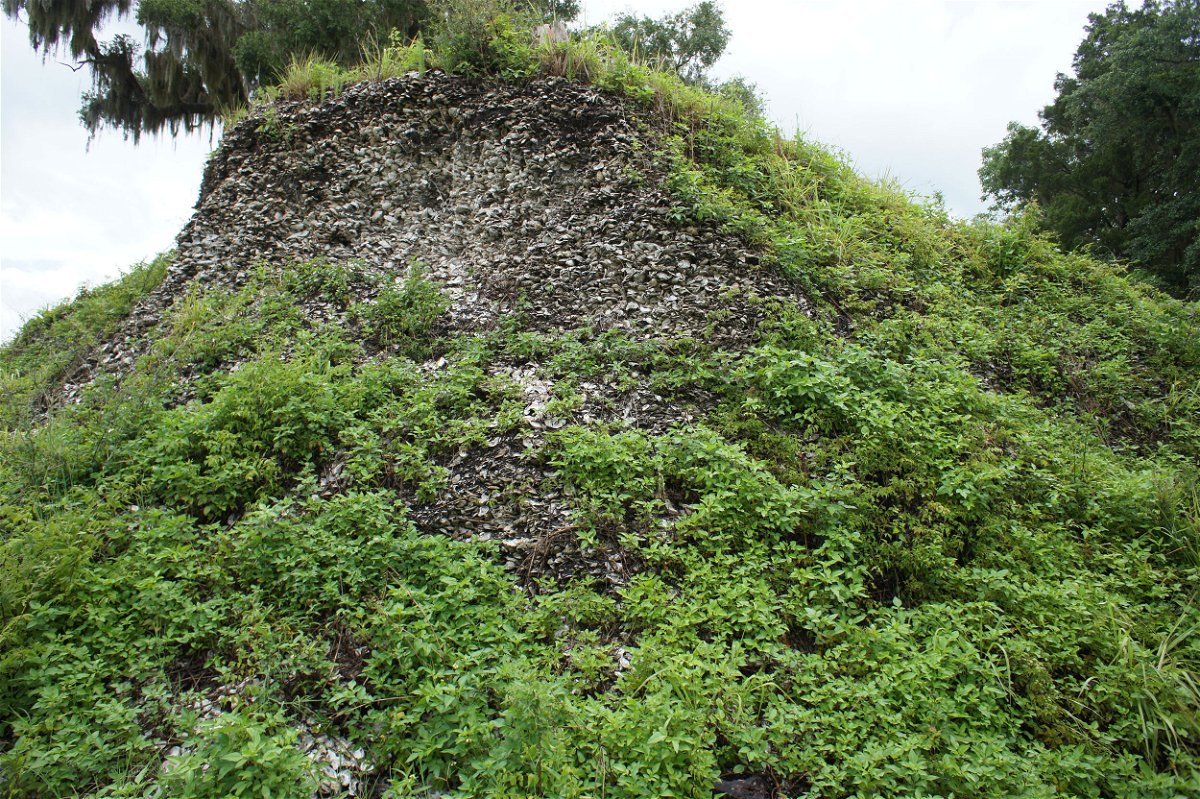 <i>Victor Thompson/National Museum of Natural History</i><br/>A massive shell mound at the Crystal River site in Florida is shown.