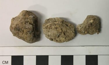 Ancient human poop was unearthed from Durrington Walls