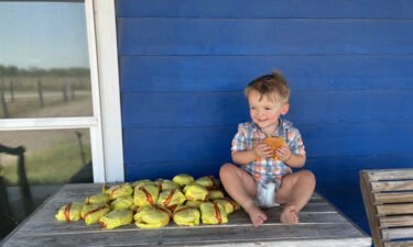 Kelsey Golden's 2-year-old son Barrett used her phone while she was working to order 31 cheeseburgers on DoorDash.