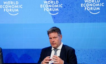 German Vice Chancellor and Economy and Climate Minister Robert Habeck in Davos