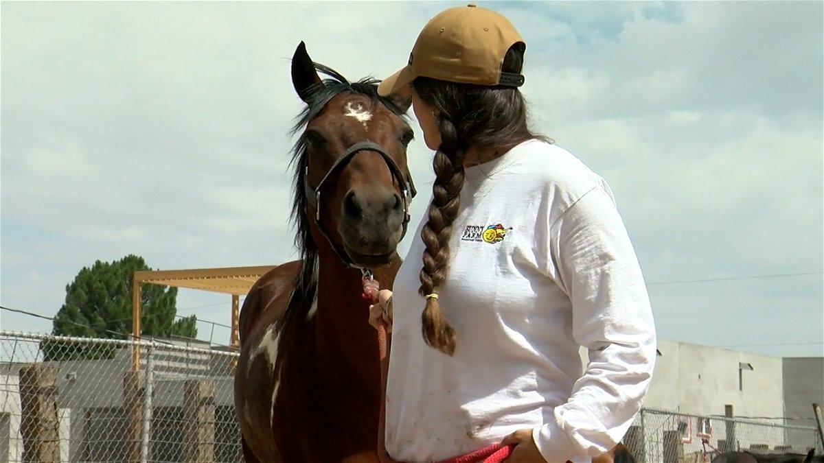 New West El Paso summer camp use Horses to reach children of all