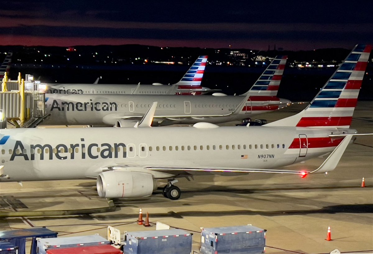 <i>Daniel Slim/AFP/Getty Images</i><br/>American Airlines planes sit at gates at Ronald Reagan Washington National Airport (DCA) in Arlington