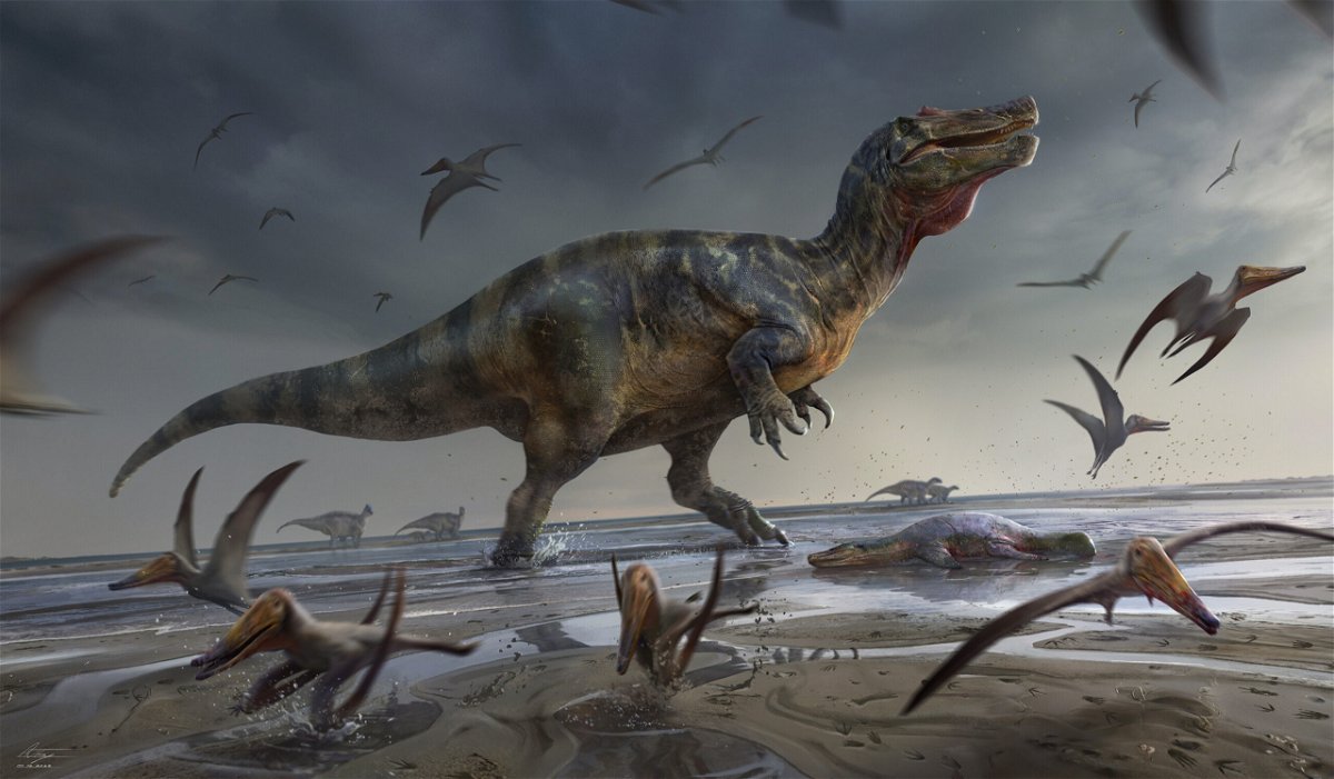 <i>Anthony Hutchings/University of Southampton</i><br/>Scientists have identified the remains of a Spinosaurid