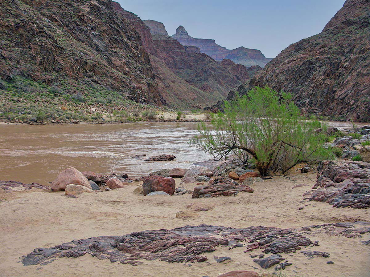 <i>From M. Quinn/NPS</i><br/>The view looking east and up the Colorado River from Pipe Creek Beach.