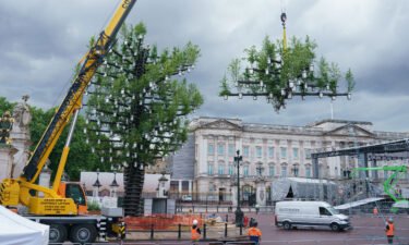 A team of workers add the final parts to the Queen's Green Canopy ahead of the Platinum Jubilee on May 24 in London
