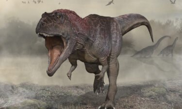 Paleontologists in Argentina have discovered a new species of dinosaur
