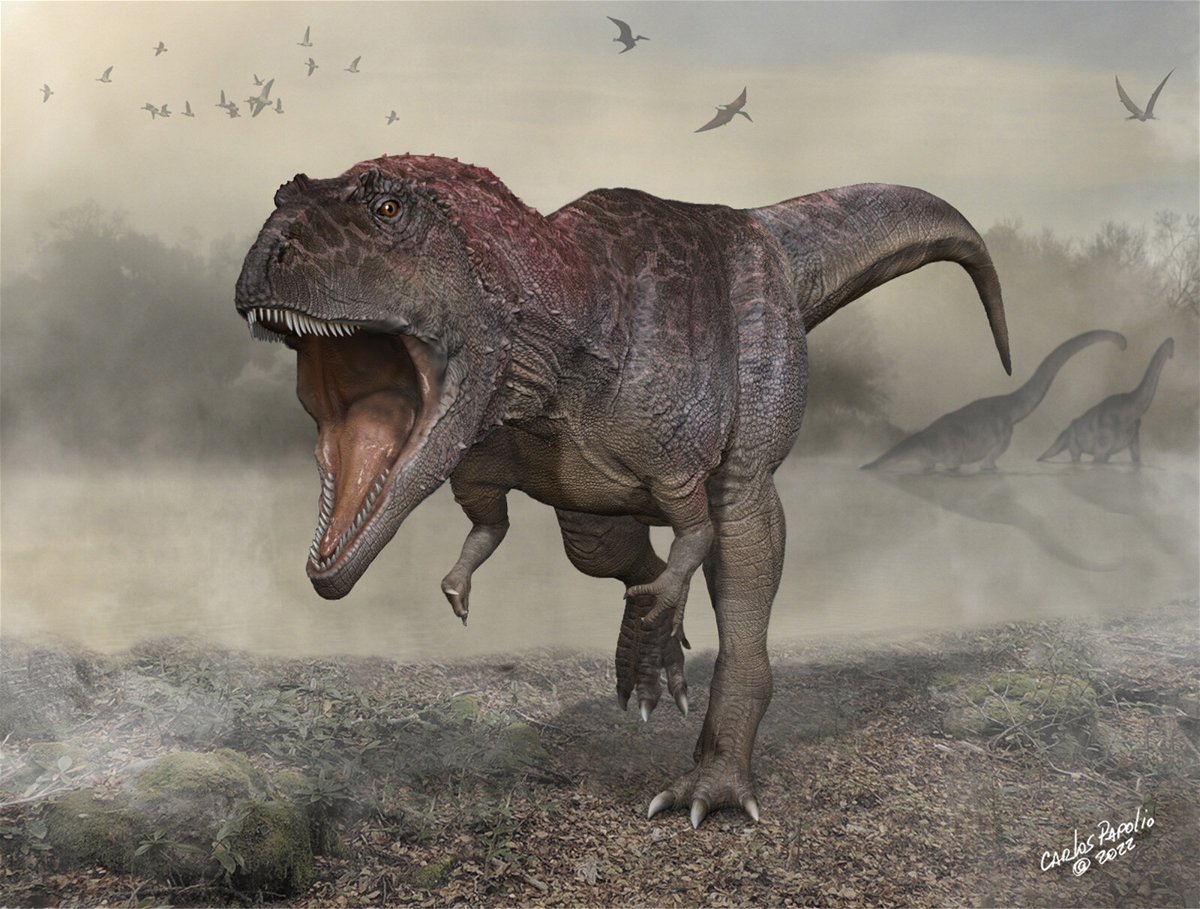 <i>Carlos Papolio</i><br/>Paleontologists in Argentina have discovered a new species of dinosaur