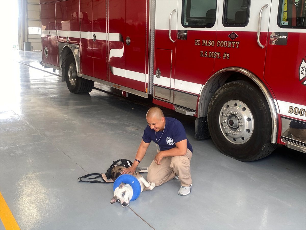 Sunday Funday Moment El Paso Firefighter rescues dog from canal, later