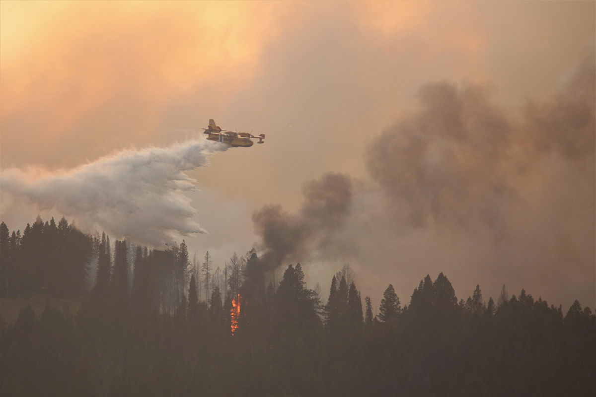 <i>US Forest Service</i><br/>Water scooping plane drops water on flames on August 24.