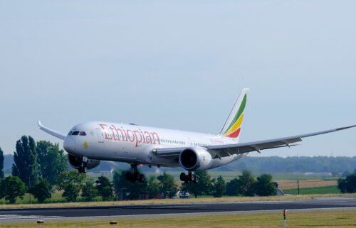 A Boeing 787-9 Dreamliner from Ethiopian Airlines is seen landing at Brussels Airport on July 29. Two pilots are believed to have fallen asleep and missed their landing during an Ethiopian Airlines Boeing 737-800 flight from Sudan to Ethiopia.