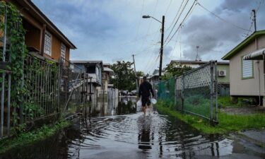 What hurricane season was like the year you were born