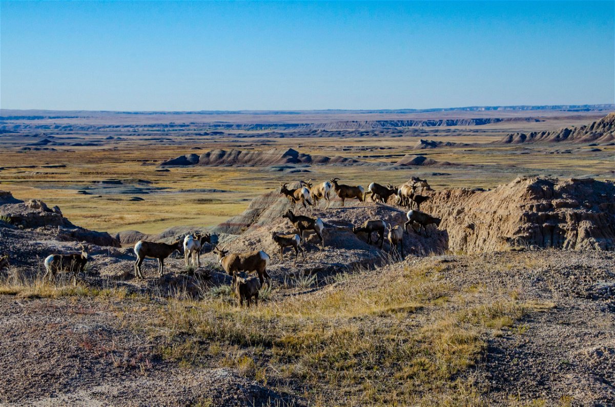 <i>Bernard Friel/Education Images/Universal Images Group/Getty Images</i><br/>Pictured here is the Badlands National Park in South Dakota. September 24 marks another free entry day to all National Park Service sites that usually charge an entrance fee.