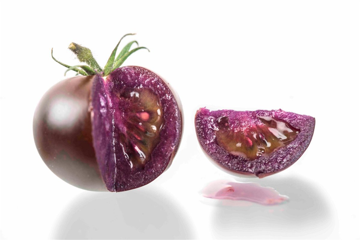 <i>Norfolk Plant Sciences</i><br/>The USDA has approved a genetically modified purple tomato that boasts health benefits and a greater shelf life than standard red tomatoes.