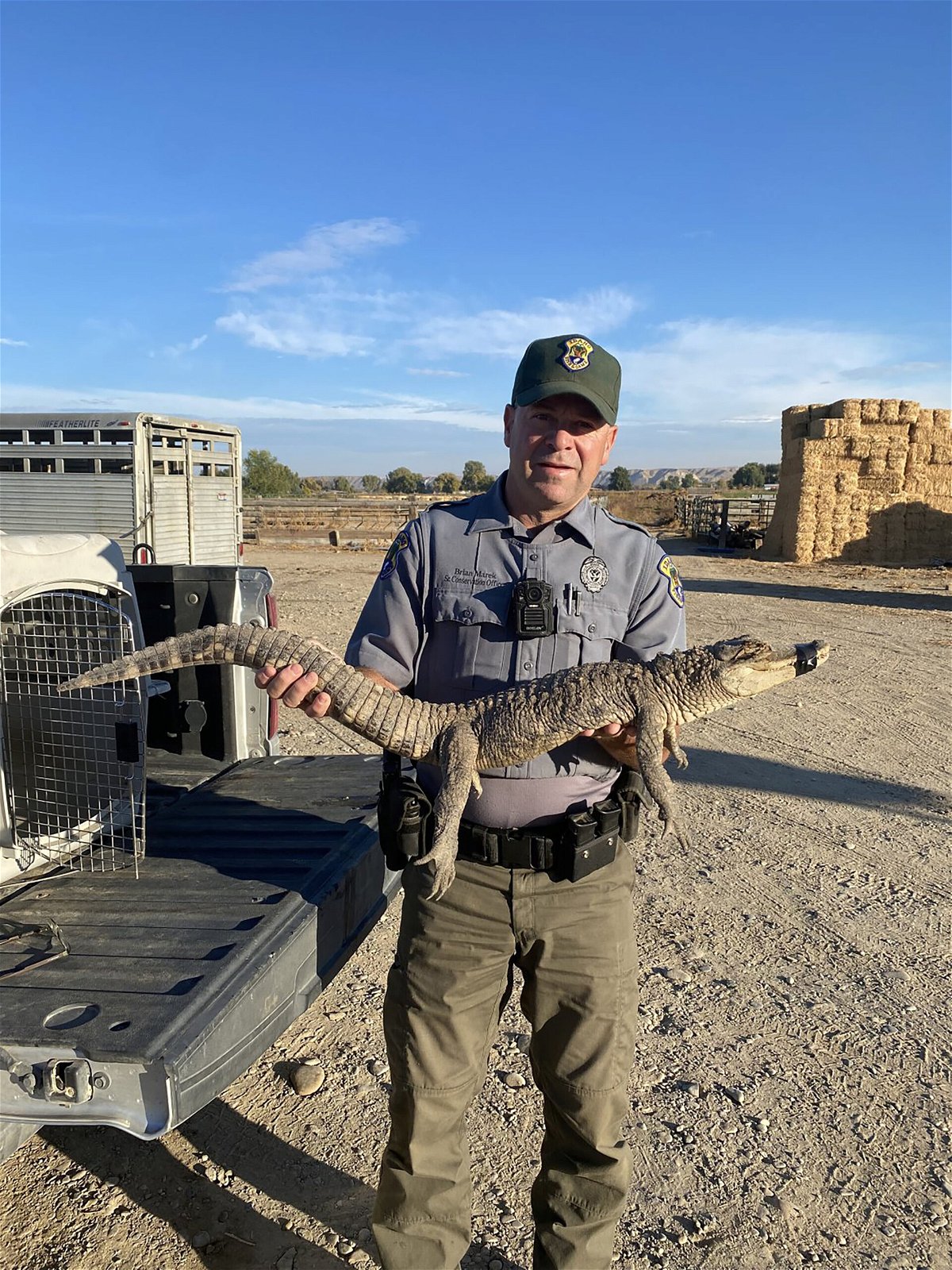 <i>Idaho Department of Fish and Game/Brian Marek</i><br/>The Idaho Department of Fish and Game released this photo of the 3.5 foot long alligator found in a rural community.