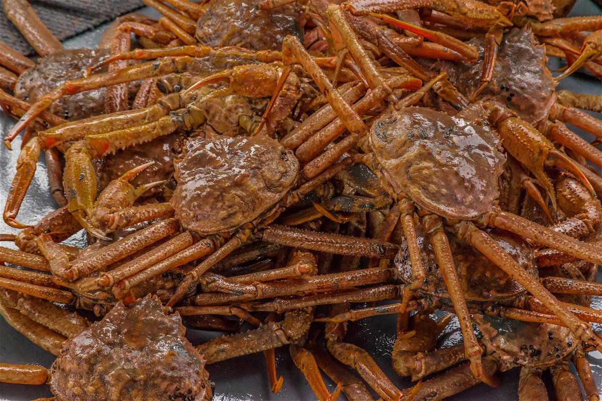 <i>Danita Delimont/Alamy</i><br/>The snow crab population in the waters around Alaska shrank from around 8 billion in 2018 to 1 billion in 2021.