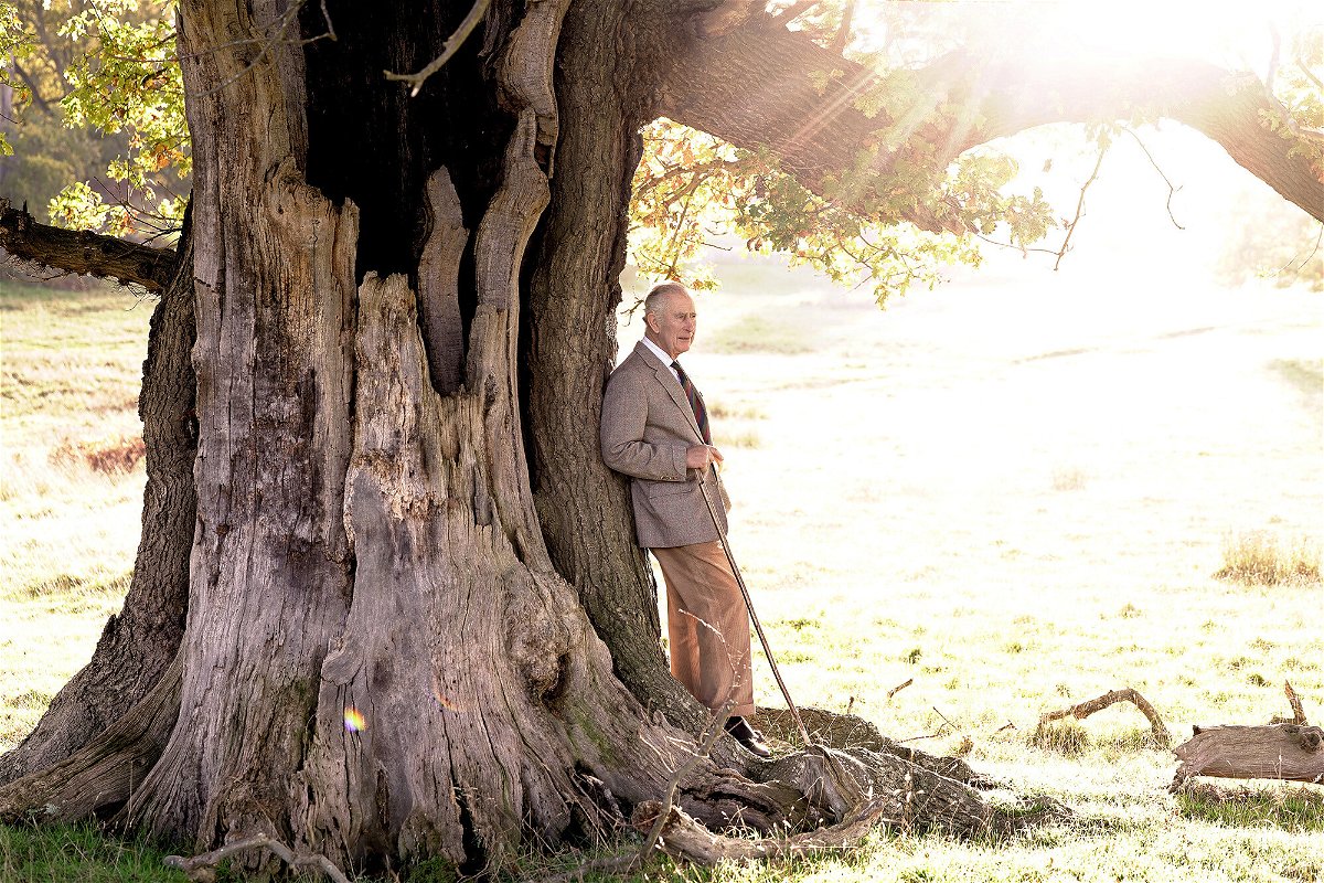 <i>Chris Jackson/Buckingham Palace/Reuters</i><br/>King Charles III with an ancient oak tree in Windsor Great Park to mark his appointment as Ranger of the Park.