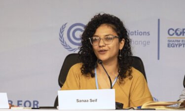 Sanaa Seif