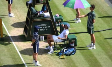 Nick Kyrgios had asked the umpire to remove the spectator from the court.